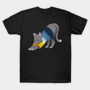 Aroace cat stretching T-Shirt